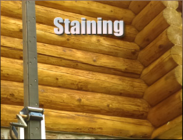  Partridge, Kentucky Log Home Staining
